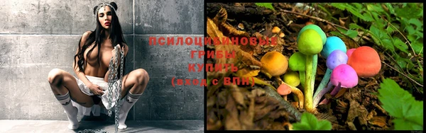 ГАЛЛЮЦИНОГЕННЫЕ ГРИБЫ Арсеньев