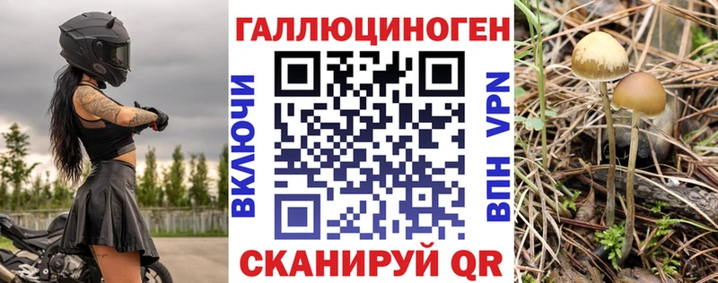 Галлюциногенные грибы MAGIC MUSHROOMS Можга